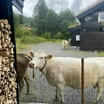 Holiday home Timber With Outdoor Near Stranda *